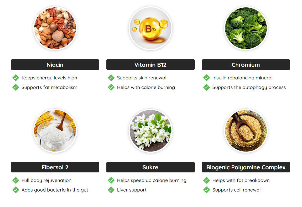 Fast-Lean-Pro-supplement-facts